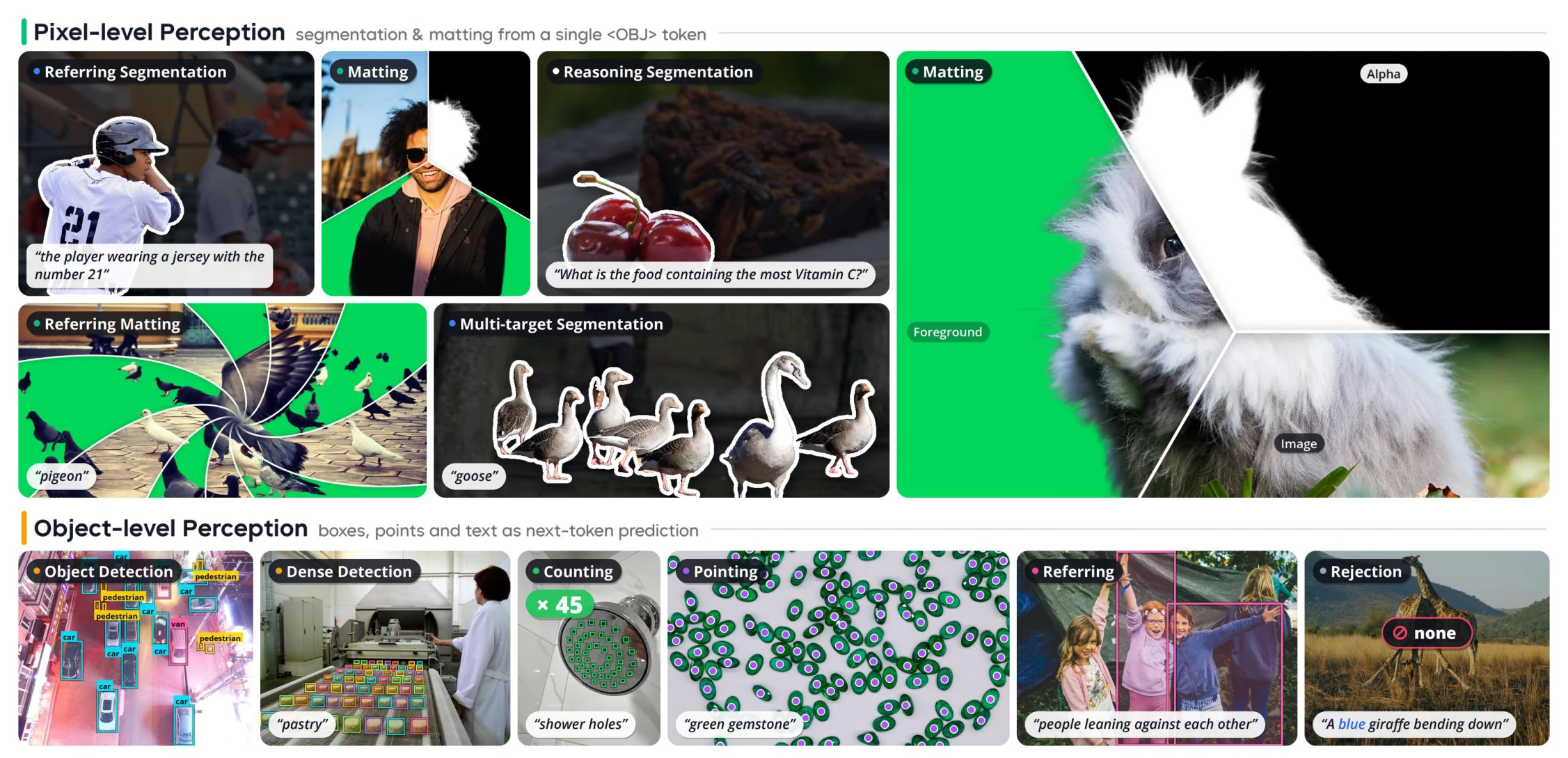 Overview of WeVisOne-VL's unified object- and pixel-level perception capabilities